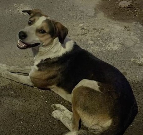 Max